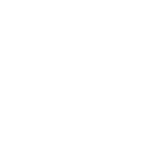 icona executive chef